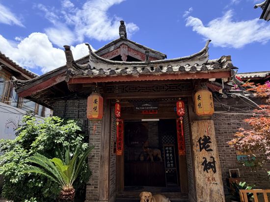 Others 2, Lijiang Old Town Laoshu Inn, Lijiang