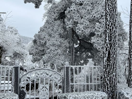 Others 5, Rosegarden, Jiujiang