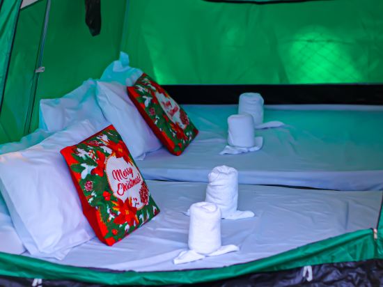 Camp Paraiso Resort Room Type - Glamping Family Tent