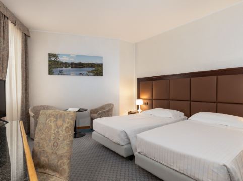 Hotel Minerva Room Type - Basic Room