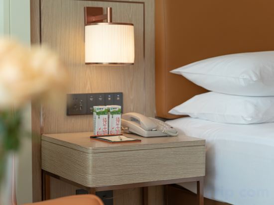 Others 3, Vienna Hotel (Longhua Yicheng Center Sam Branch)), Shenzhen