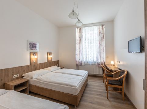Hotel Terminus Vienna Room Type - Triple Room