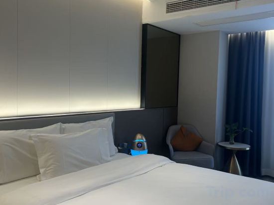 Shanghai Lotus Hotel Room Type - Forest Oxygen Bar Non-Smoking Double Bed Room