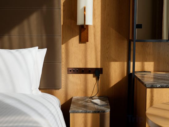 Hotel The Celestine Tokyo Shiba Room Type - Standard Queen Room