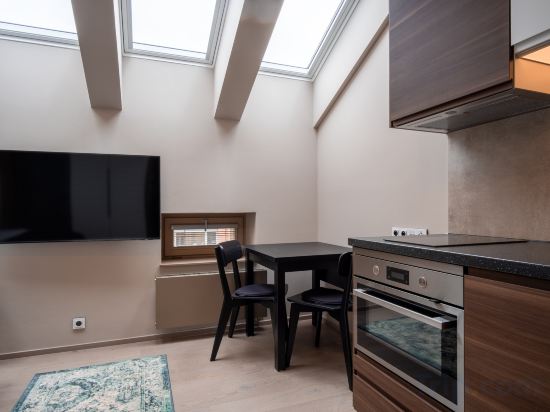 Aparthotel Rimska 14 Room Type - Cosy Design Studio (No 503-506)