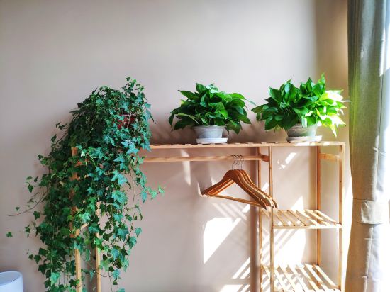 Beijing Sihe Xiaoyuan Homestay - Tap to explore photos