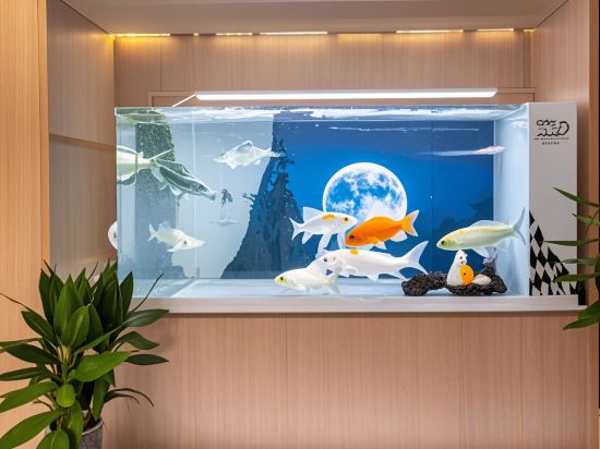 Others 4, JInli Hotel, Zhoushan