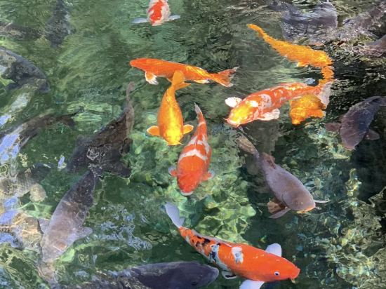 Others 3, JInli Hotel, Zhoushan