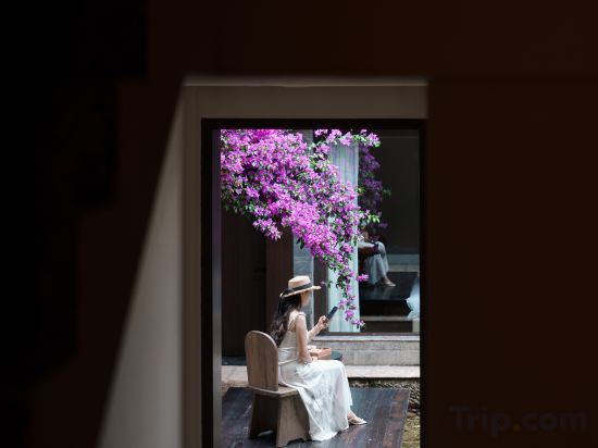 Others 2, Halcyon · No.1 Courtyard(Lijiang Ancient Town Dashuiche Branch), Lijiang