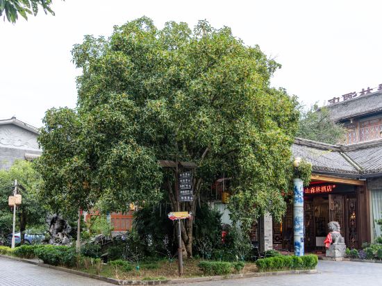 Others 5, Taoran   Hillseides   Hotel, Chongqing