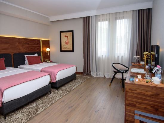 Tiflis Palace Room Type - Standard Twin Room