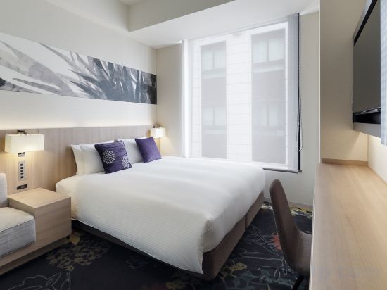 Millennium Mitsui Garden Hotel Tokyo/Ginza Room Type - Standard Queen Room with Bathtub