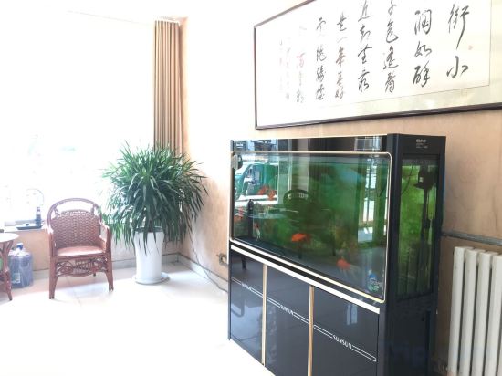 Others 2, Shen County Jufude Business Hotel, Liaocheng