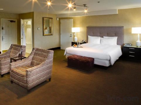 Cupertino Hotel Room Type - Executive Two Queens Suite