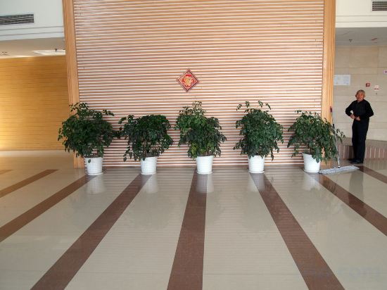 Others 4, Xintiandi Business Hotel, Shanghai