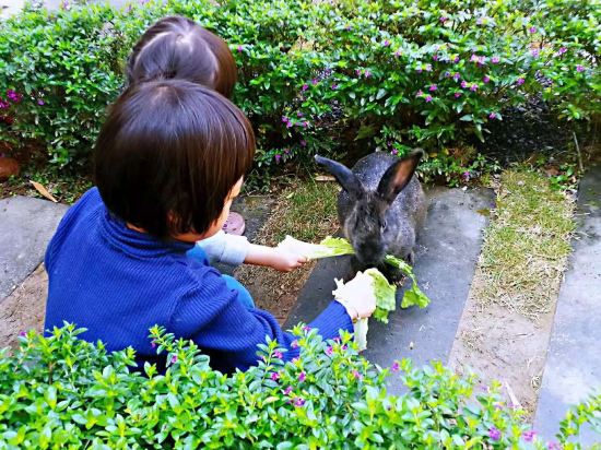 Others 4, Yishanjun Garden Inn, Baoshan