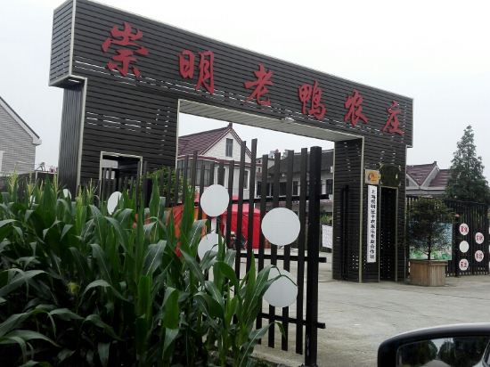 Others 4, Shanghai Chongming Laoya Farm (No.1 Branch), Shanghai