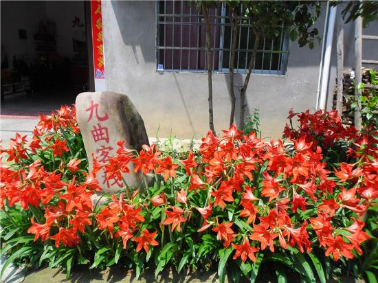 Others 4, Wuyishan Jiuqu Inn, Nanping