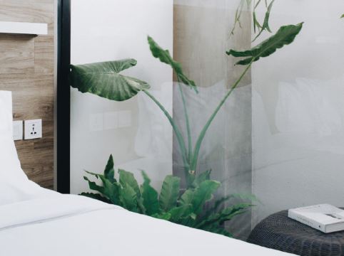 Lloyd's Inn Bali Room Type - The Standard Room Twin