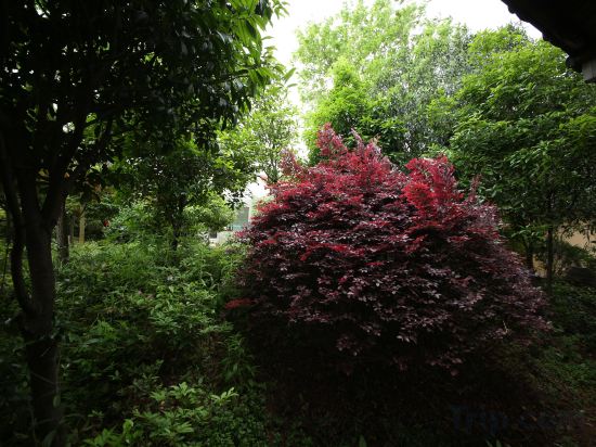 Others 3, Jiangshan Wanlong Resort Hotel, Quzhou