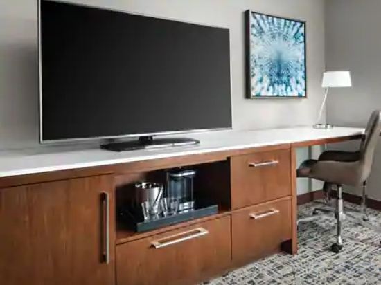 Hilton Boston Logan Airport Room Type - Hearing Accessible Room, 1 King Bed