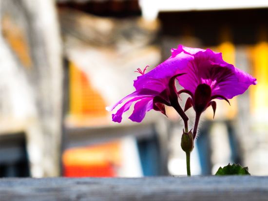 Others 2, Yixing Thatched Cottage Inn (Lijiang Old Town Dashuiche Branch), Lijiang