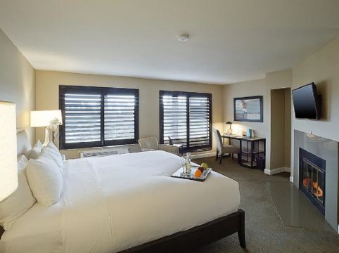 Cupertino Hotel Room Type - 1 King Accessible