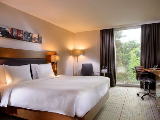 Hilton Zurich Airport Hotel Room Type - Executive Queen Room with Executive Lounge Access Hilton Zurich Airport Hotel Room Type - Executive Queen Room with Executive Lounge Access