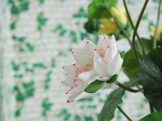 Others 4, Le 8 Holiday Hotel (Zhengzhou Erqi Wanda Plaza), Zhengzhou