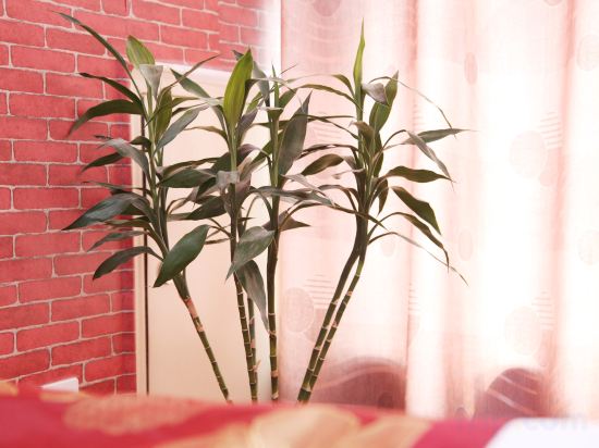 Others 2, Le 8 Holiday Hotel (Zhengzhou Erqi Wanda Plaza), Zhengzhou