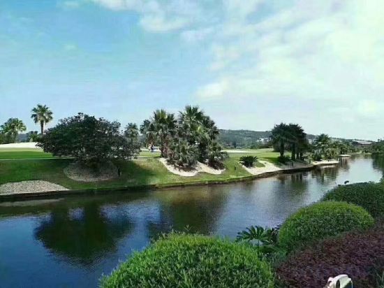 Others 4, Xinyi Hotel B&B (Qiaogang Beihai International Passenger Terminal), Beihai