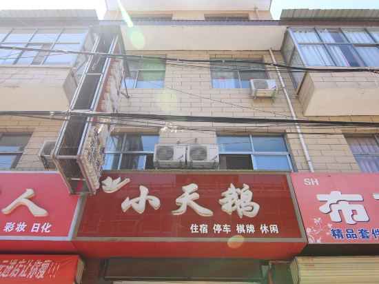 Others 3, Xiaxian cygnet hotel, Yuncheng
