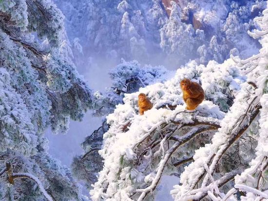 Others 3, Jiuhua Mountain Remote Mountain Simple Home Stay, Chizhou