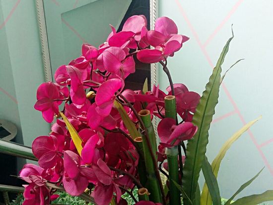 Others 4, Lecheng Hotel, Guilin