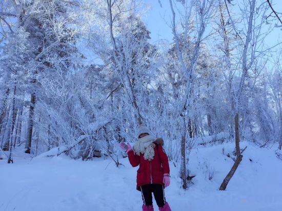 Others 2, Snow Valley Shengshi Home · Comfortable Natural Life Vacation Homestay, Harbin