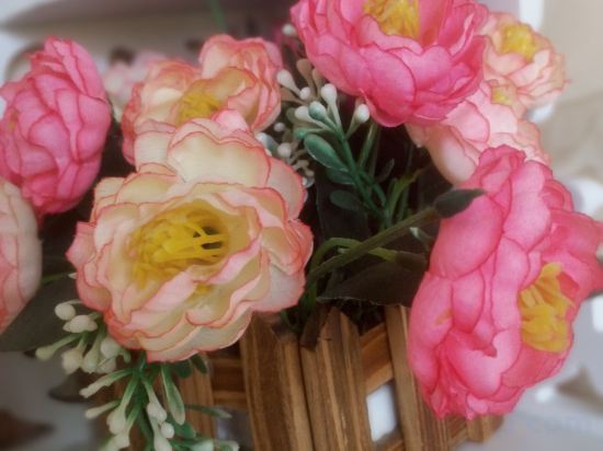 Others 3, Wuzhen Chuxin Homestay (Wuzhen Xizha), Jiaxing