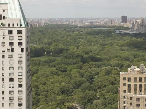 Thompson Central Park New York by Hyatt