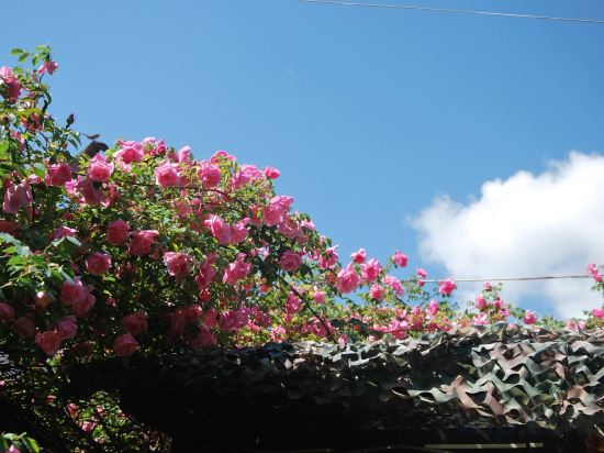 Others 4, Lan Do Inn, Lijiang