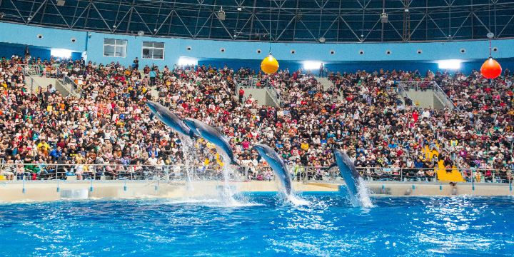 Quancheng Ocean and Polar World