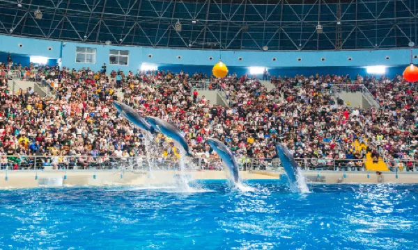 泉城欧楽堡海洋極地世界