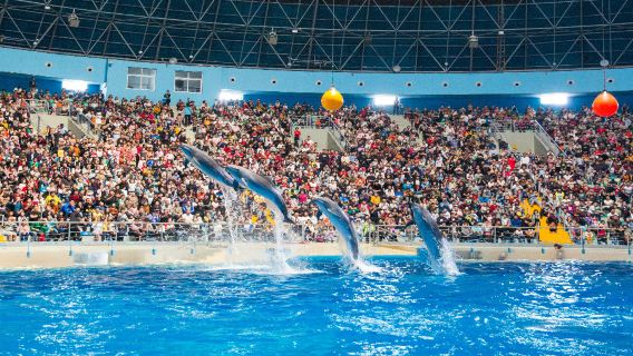 Quancheng Ocean Polar World
