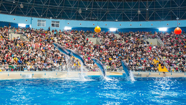 Quancheng Ocean and Polar World