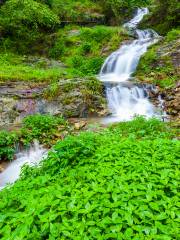 Longsheng Forest Park