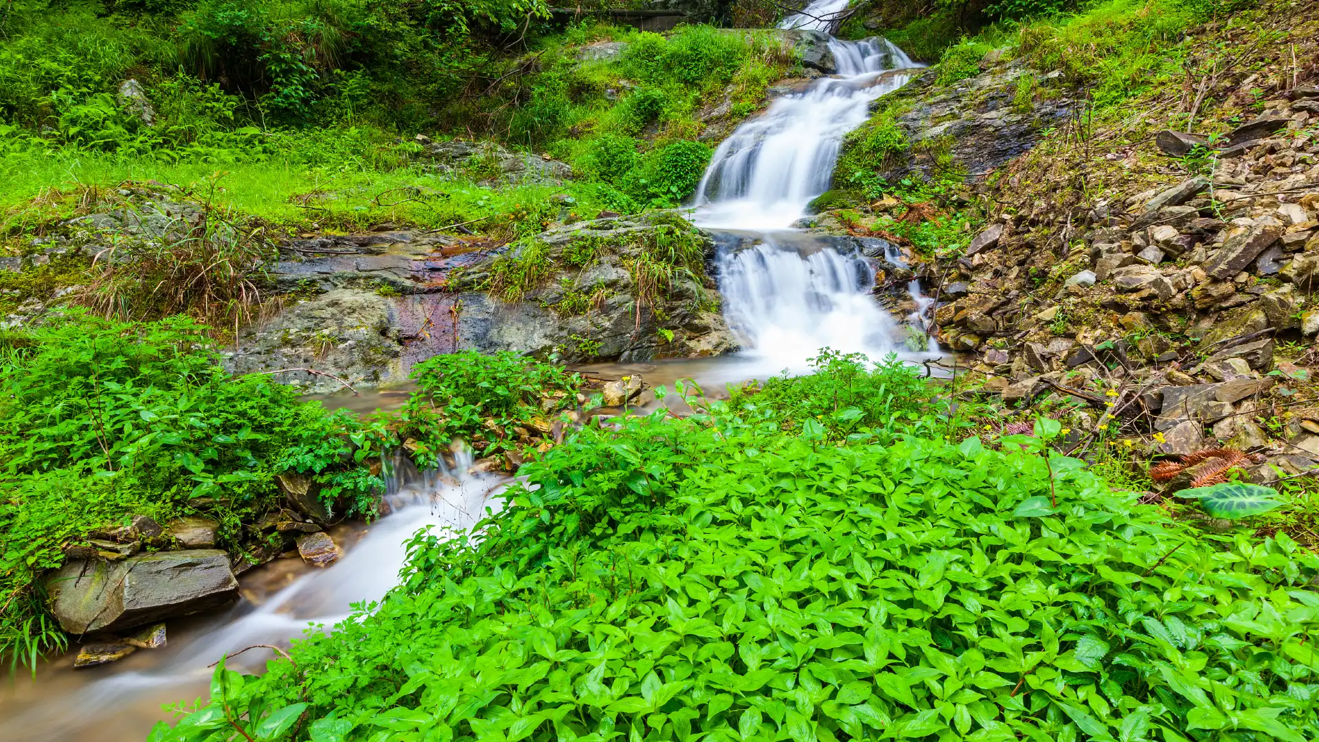 Hotels near Longsheng Forest Park