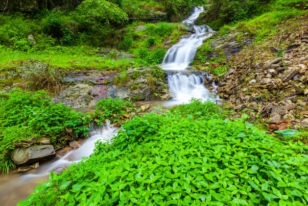 Разрешено размещения с домашними животными Отели в г. Луншэн