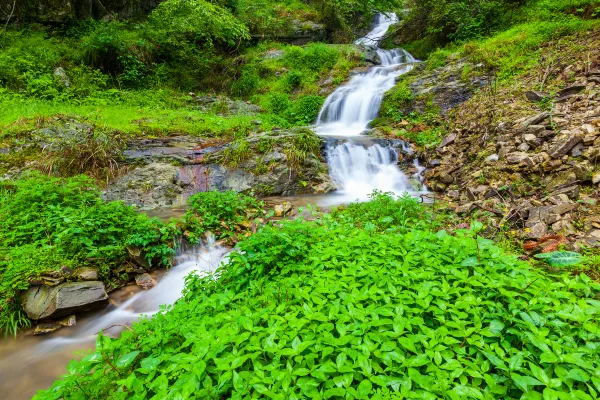 台州 飛 河池