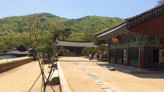 釜山之行的最后一站，去庆州之前特意来感受韩国的佛教氛围，需要