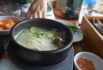 비원 여행 사진
