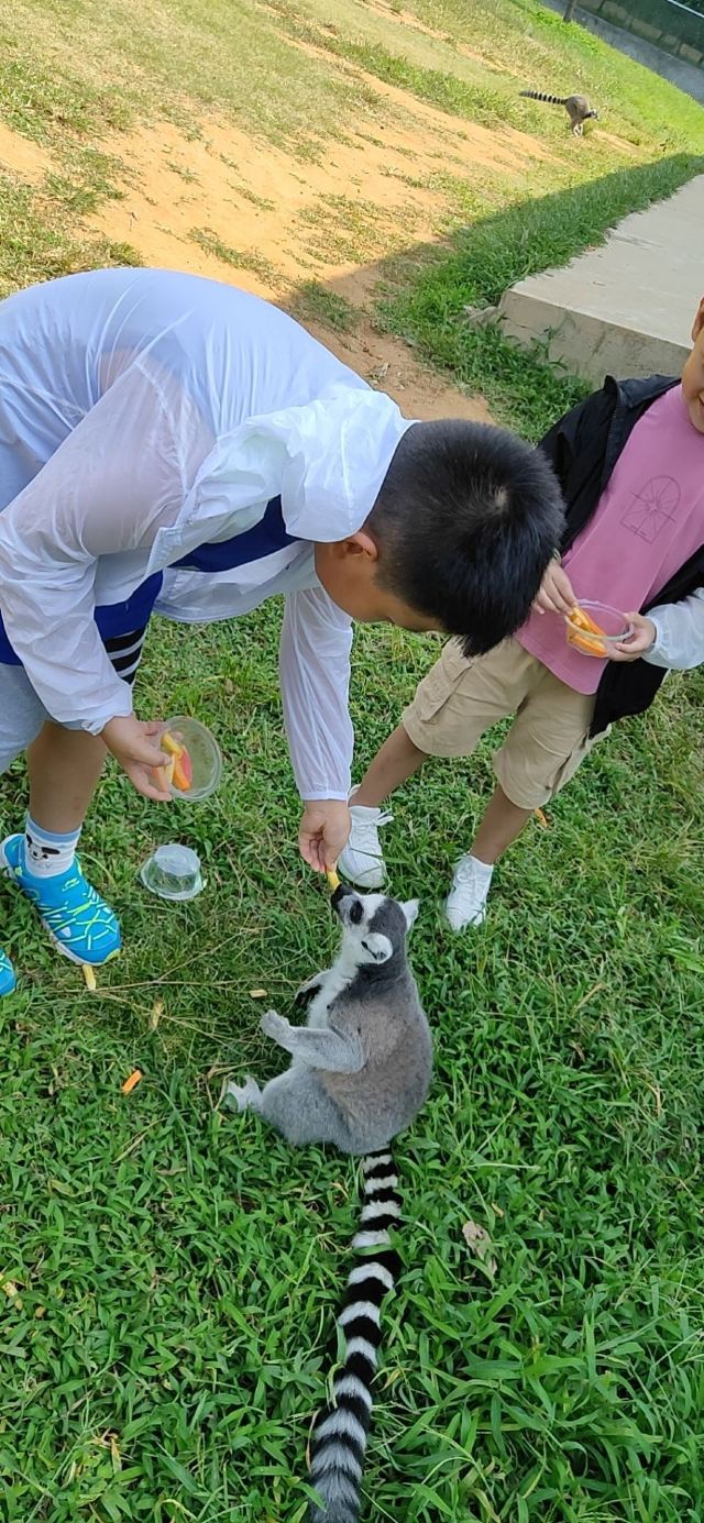 친황다오 야생동물원