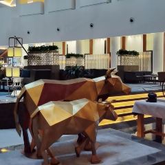 Hyatt Regency Suzhou Hotel Café User Photo